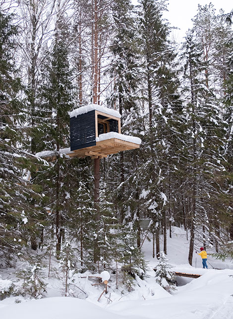 trail the treehouse in winter